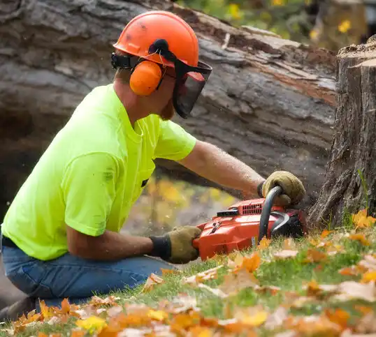 tree services Grawn